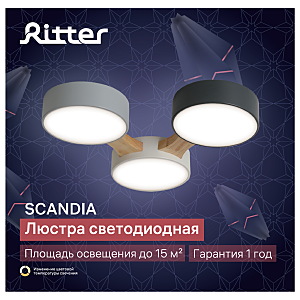 Потолочная люстра Ritter Scandia 52070 2